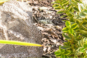 landscape-audio-rock-speaker
